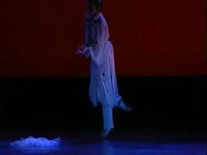 成人惊鸿舞视频,成人风采的华丽绽放