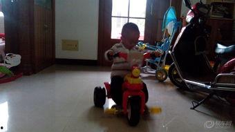 滑车 成人三轮视频,探索滑车成人三轮的乐趣与挑战