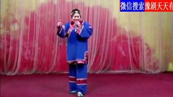 豫剧成人教学视频大全,入门到精通的全面教程