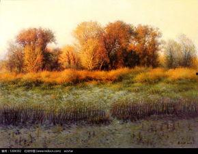 成人秋景写真视频,成人秋景写真视频中的浪漫时光